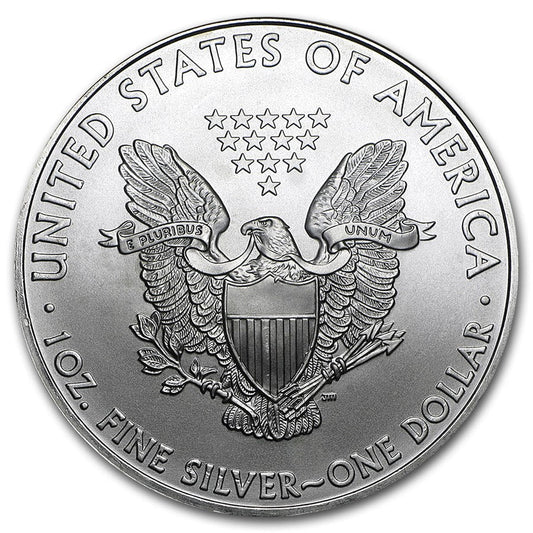 2010 1 Oz American Silver Eagle